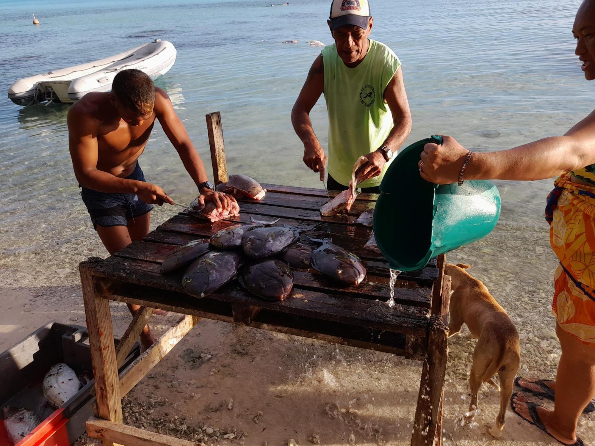 Hinamoe Lodge أفاتورو المظهر الخارجي الصورة