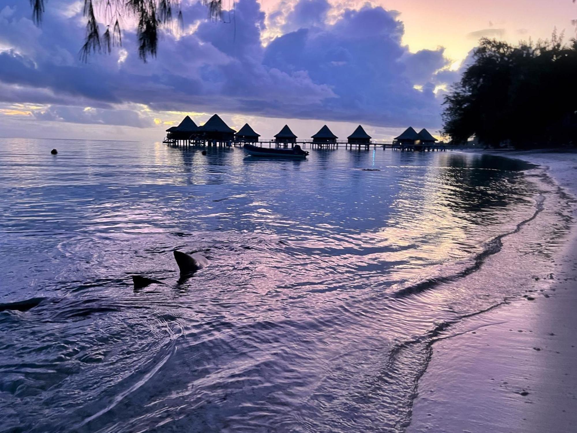 Hinamoe Lodge أفاتورو المظهر الخارجي الصورة